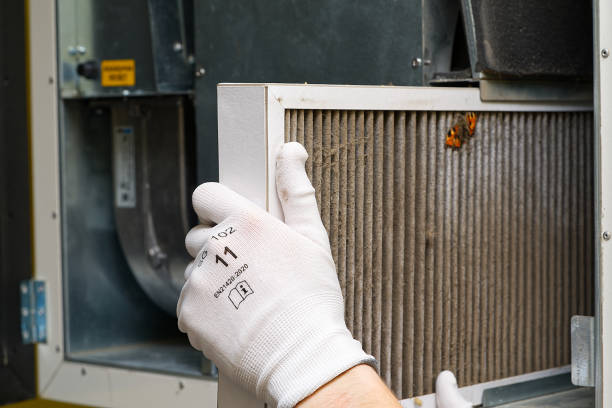 Best Local Air Duct Cleaning Services  in Frackville, PA