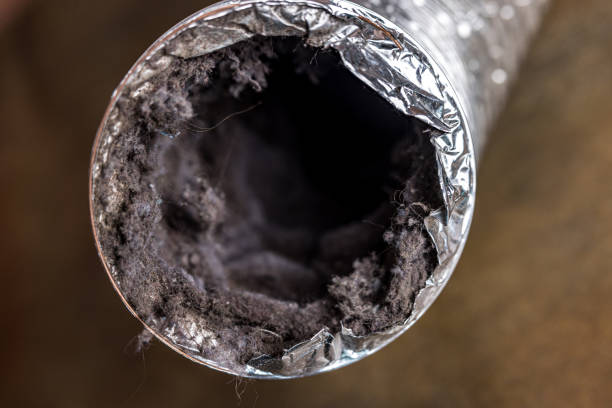 Best HVAC Duct Inspection Services  in Frackville, PA